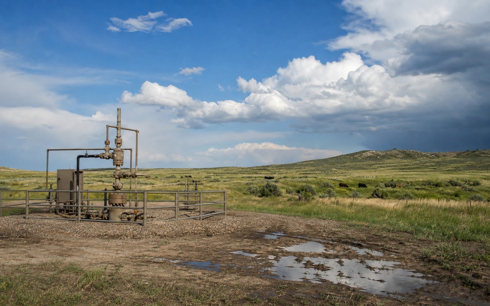 Piceance Basin Mineral Rights