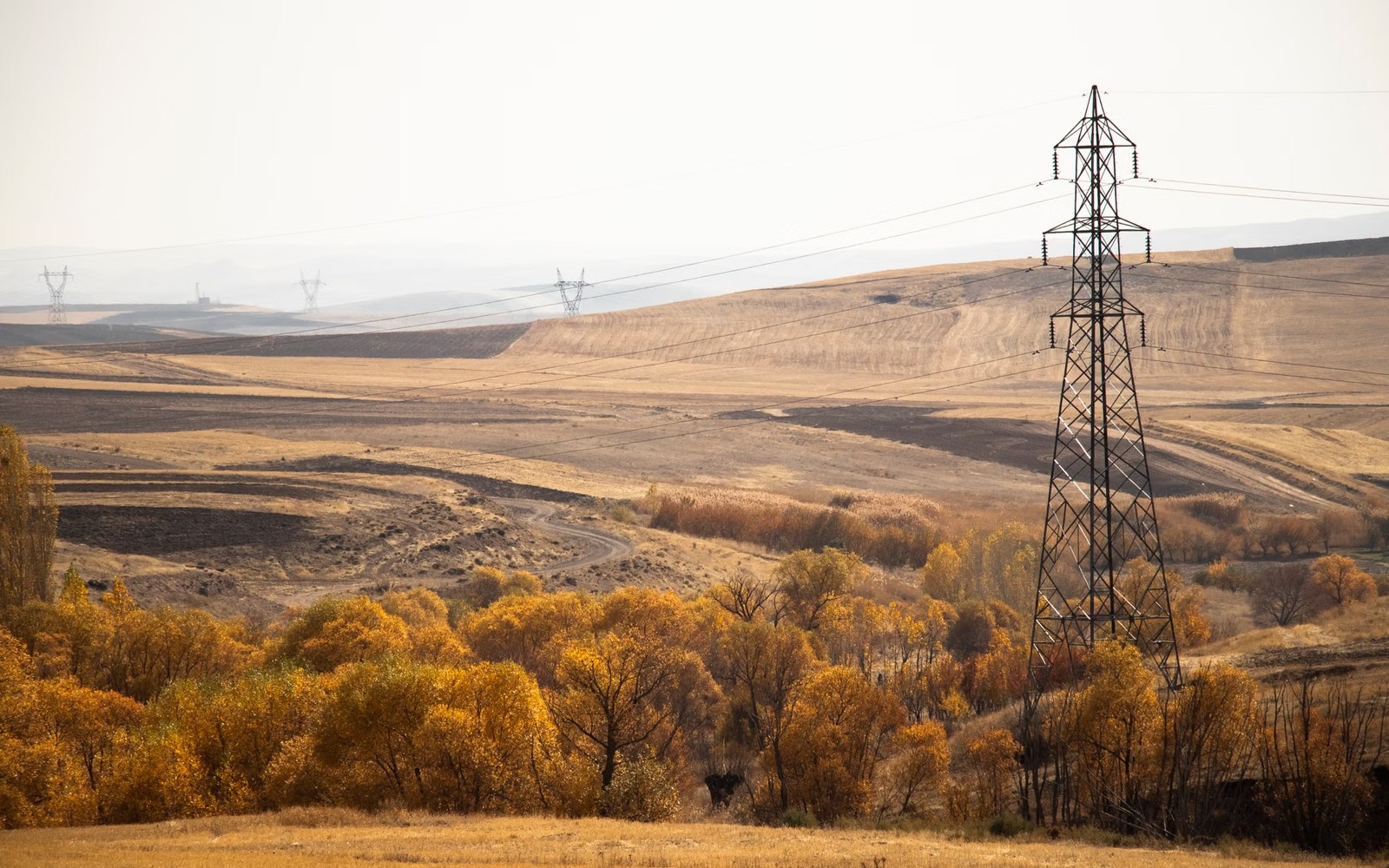 Mineral Rights as an Investment